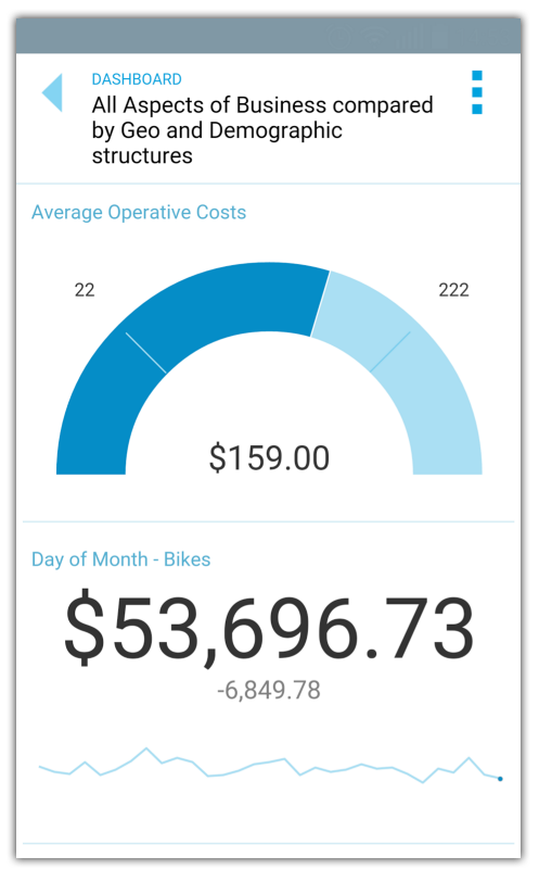 Mobile BI - OLAP Analysis