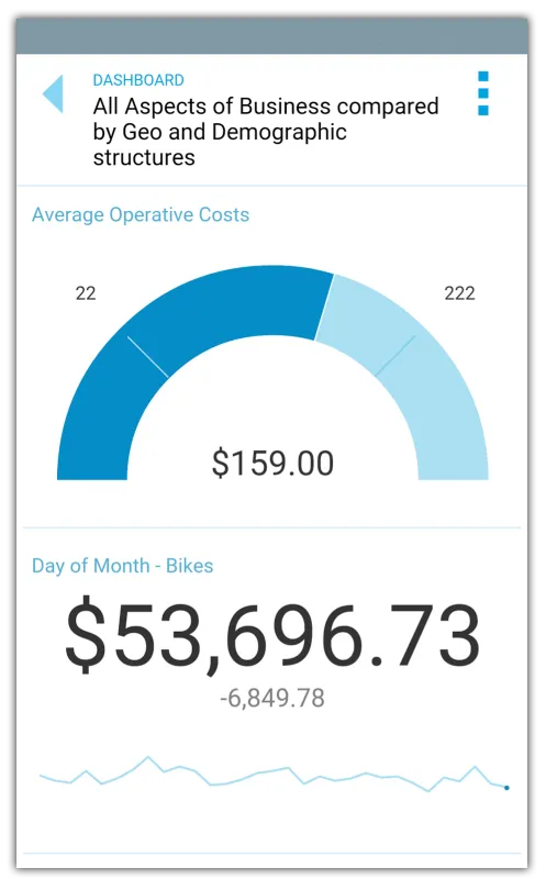 Mobile BI - OLAP Analysis