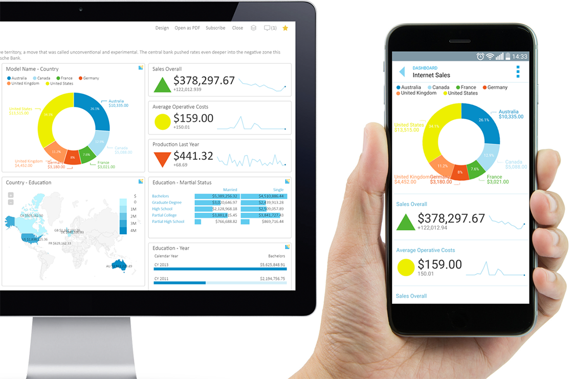 Mobile BI Market