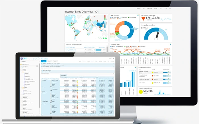 On-Premise BI Tools