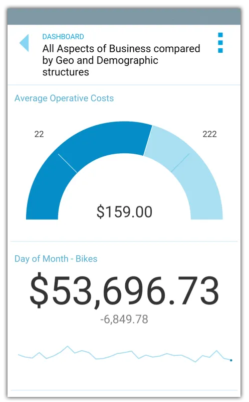 Mobile dashboard OLAP analysis features