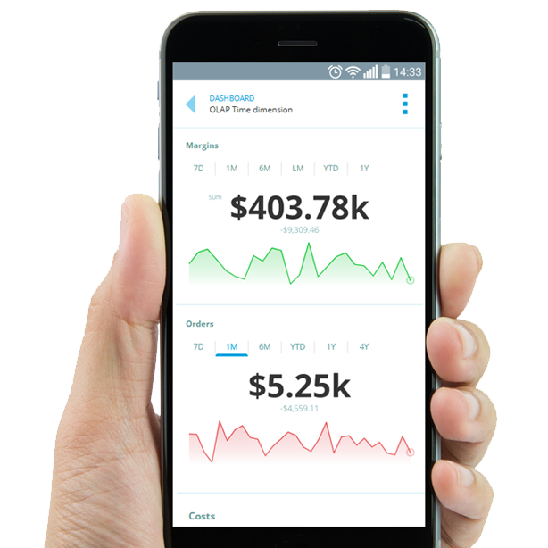 Mobile BI Dashboards