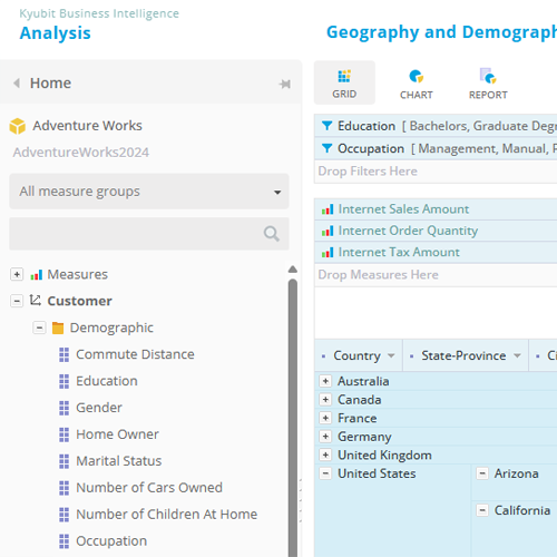 SSAS visual analytics