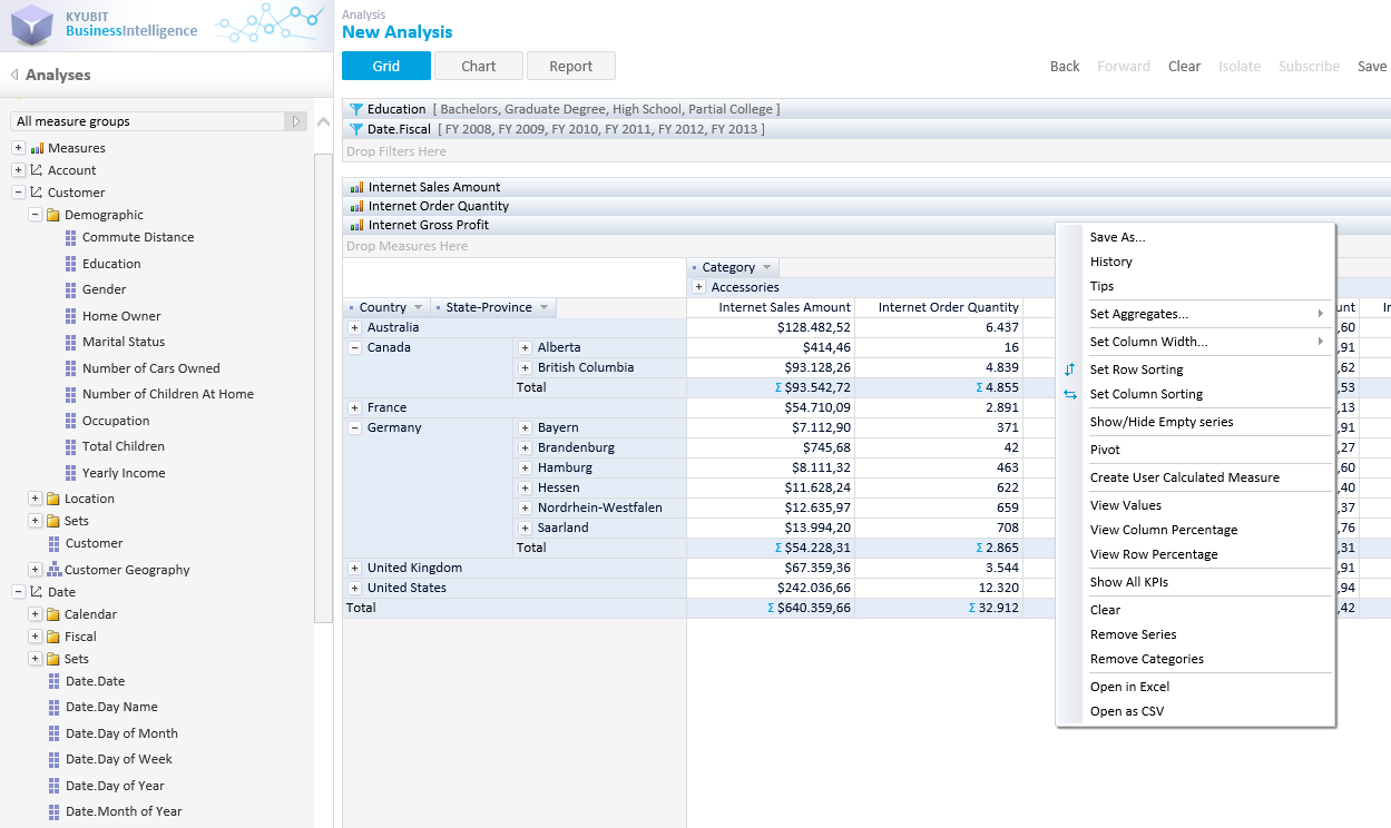 web based OLAP analysis