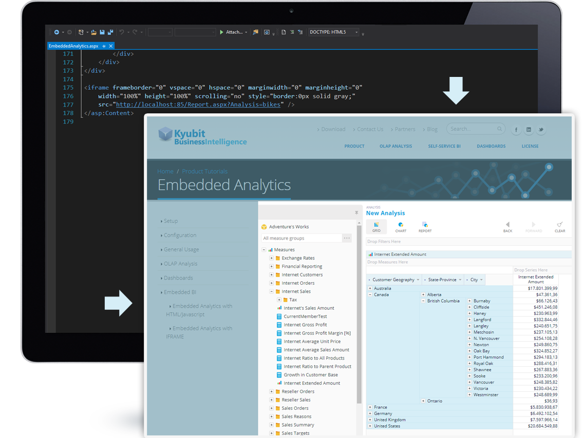 Embedded Analytics