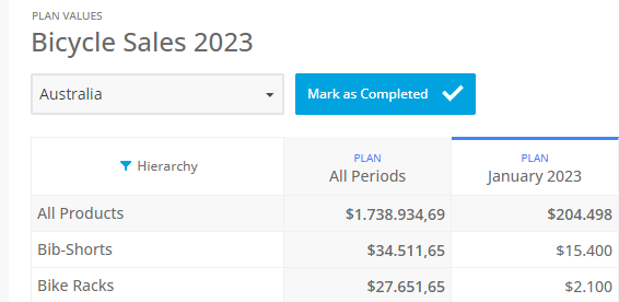 Planning budgeting Workflow