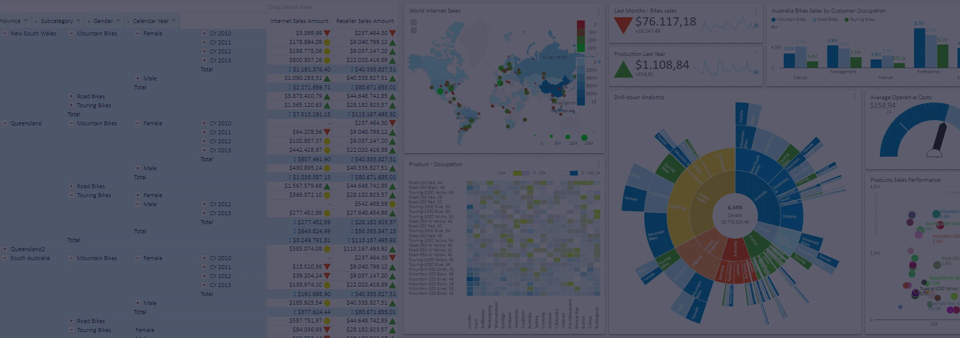 Business Intelligence platform